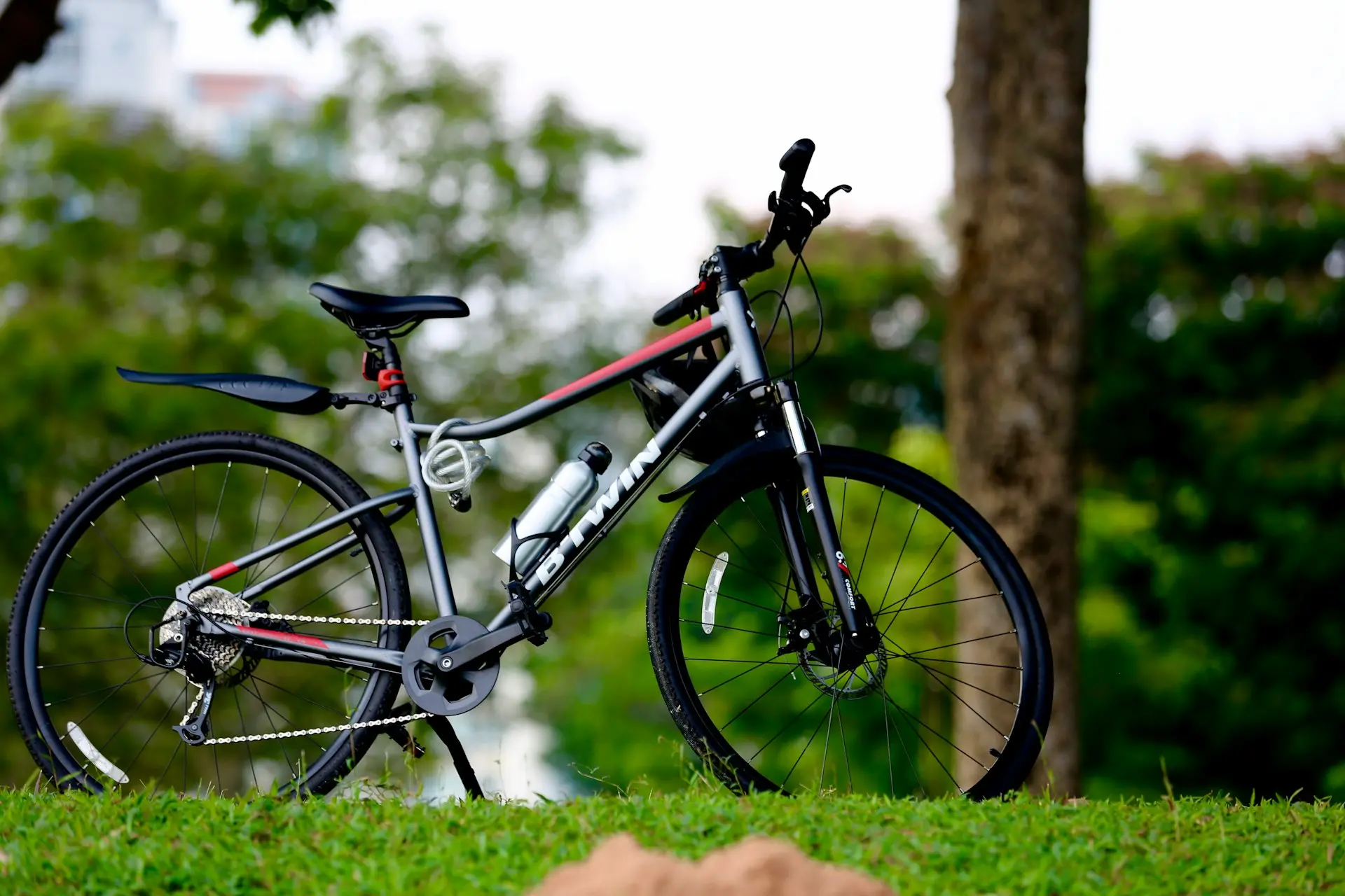 a bicycle parked in the grass near a tree